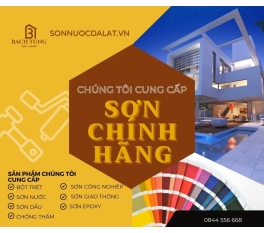 Sơn nước - Sơn sắt mạ kẽm - Sơn xịt - Chống thấm Đà Lạt, Lâm Đồng| Bách Tùng 