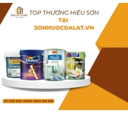 Sơn nước - Sơn sắt mạ kẽm - Sơn xịt - Chống thấm Đà Lạt, Lâm Đồng| Bách Tùng 